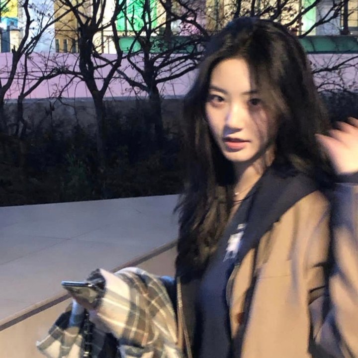 莫奇的故事